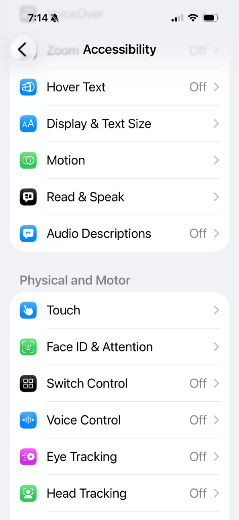 Step 2: Accessibility Menu