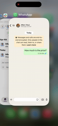 Offline Assistant Demo